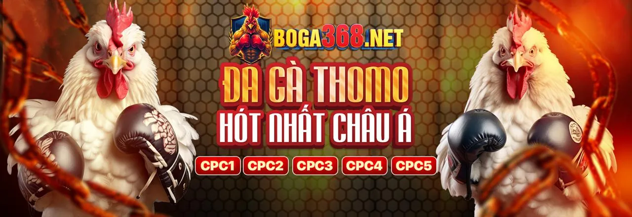Trải nghiệm cá cược M88