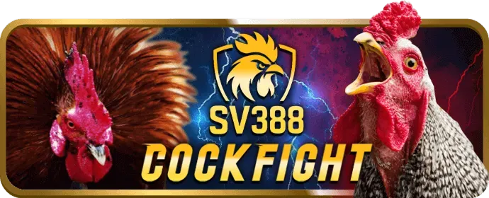 Banner Ưu Đãi Chào Mừng Kuvip