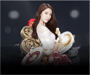 Các loại cookie Kuvip sử dụng
